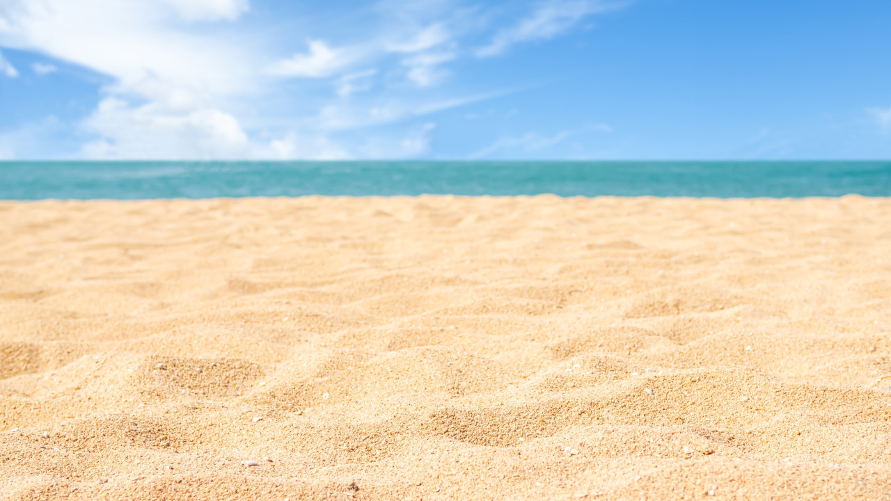 Prohibido nadar en una playa española tras el avistamiento de cocodrilos