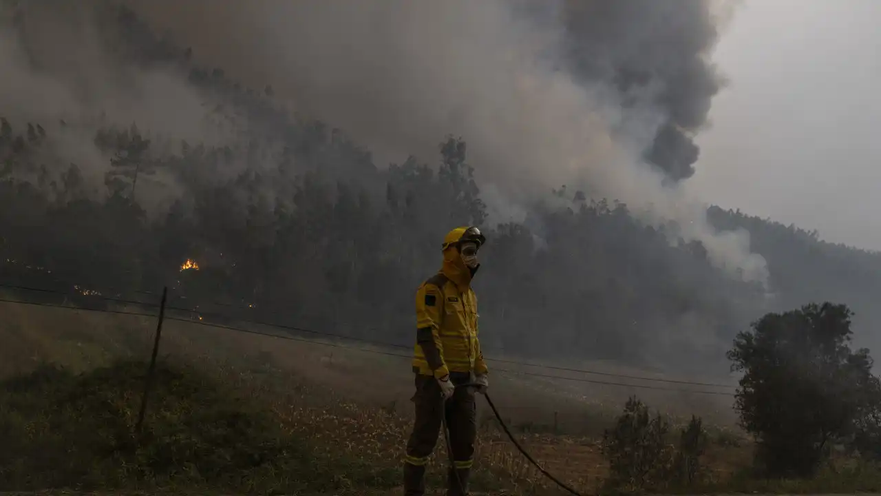 Tábua quer Área Integrada de Gestão da Paisagem para zonas ardidas