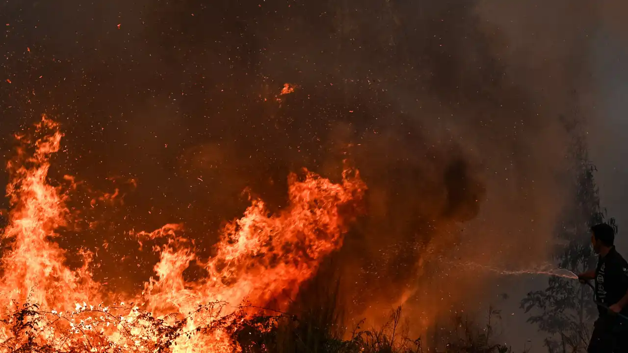 Incêndios: Câmara de Nelas tem equipa multidisciplinar no terreno