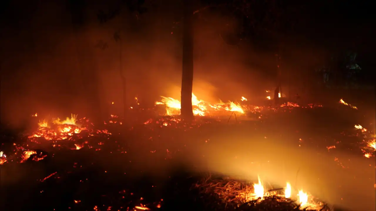 Arderam 814 hectares em Vinhais, que defende mais apoios para prevenção