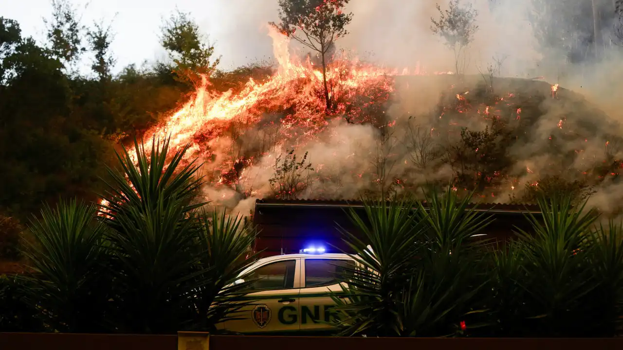 Polícia Judiciária deteve suspeito de incêndios em Sever do Vouga