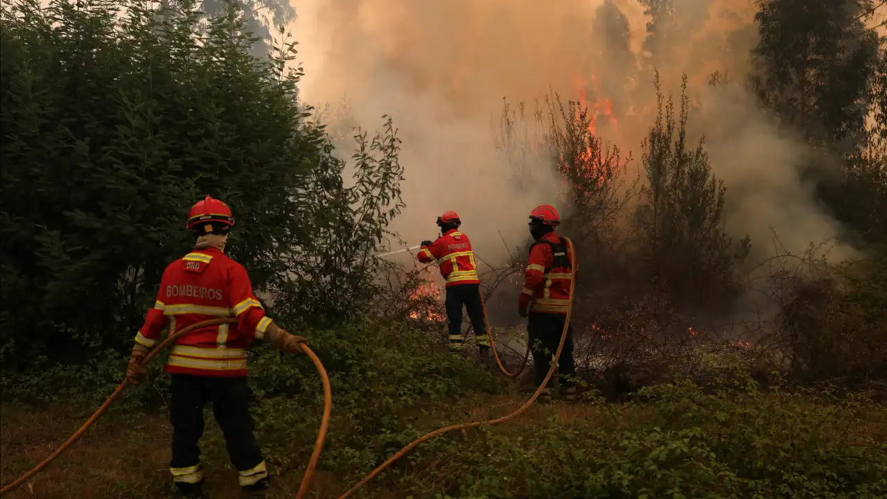 Madeira diz estar à espera de segundo meio aéreo do Estado para incêndios