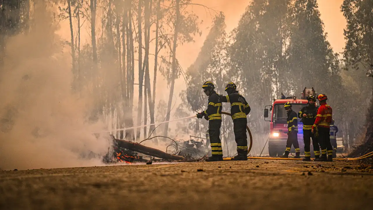 Área ardida em Arouca corresponde a 20% do concelho