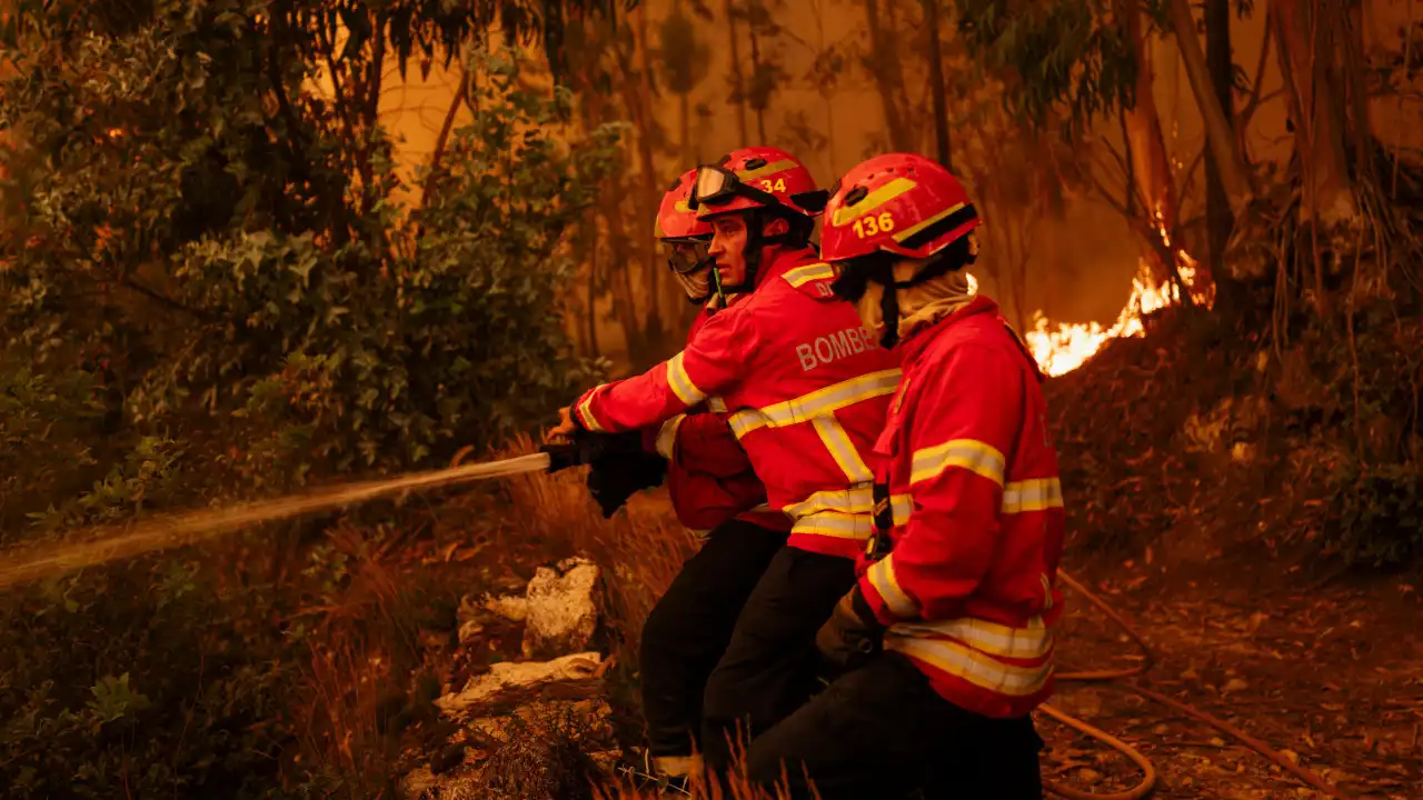 Fogos? "Poderia ter sido bastante pior se tivéssemos tido um ano seco"