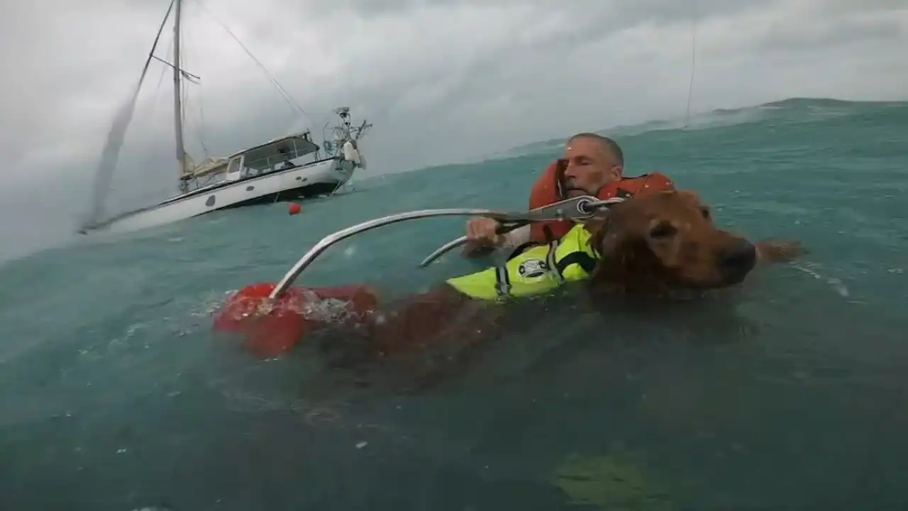 Vídeo mostra resgate de homem e cão de um veleiro durante furacão Helene