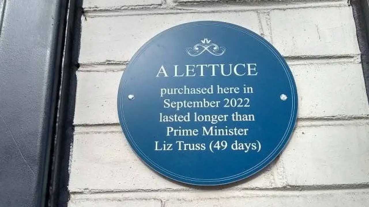 Placa em supermercado londrino celebra alface que 'venceu' Liz Truss