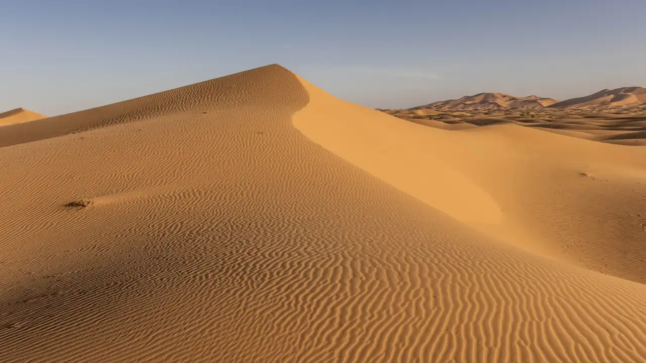 Há água nas dunas do Saara. Imagens mostram raro dilúvio no deserto