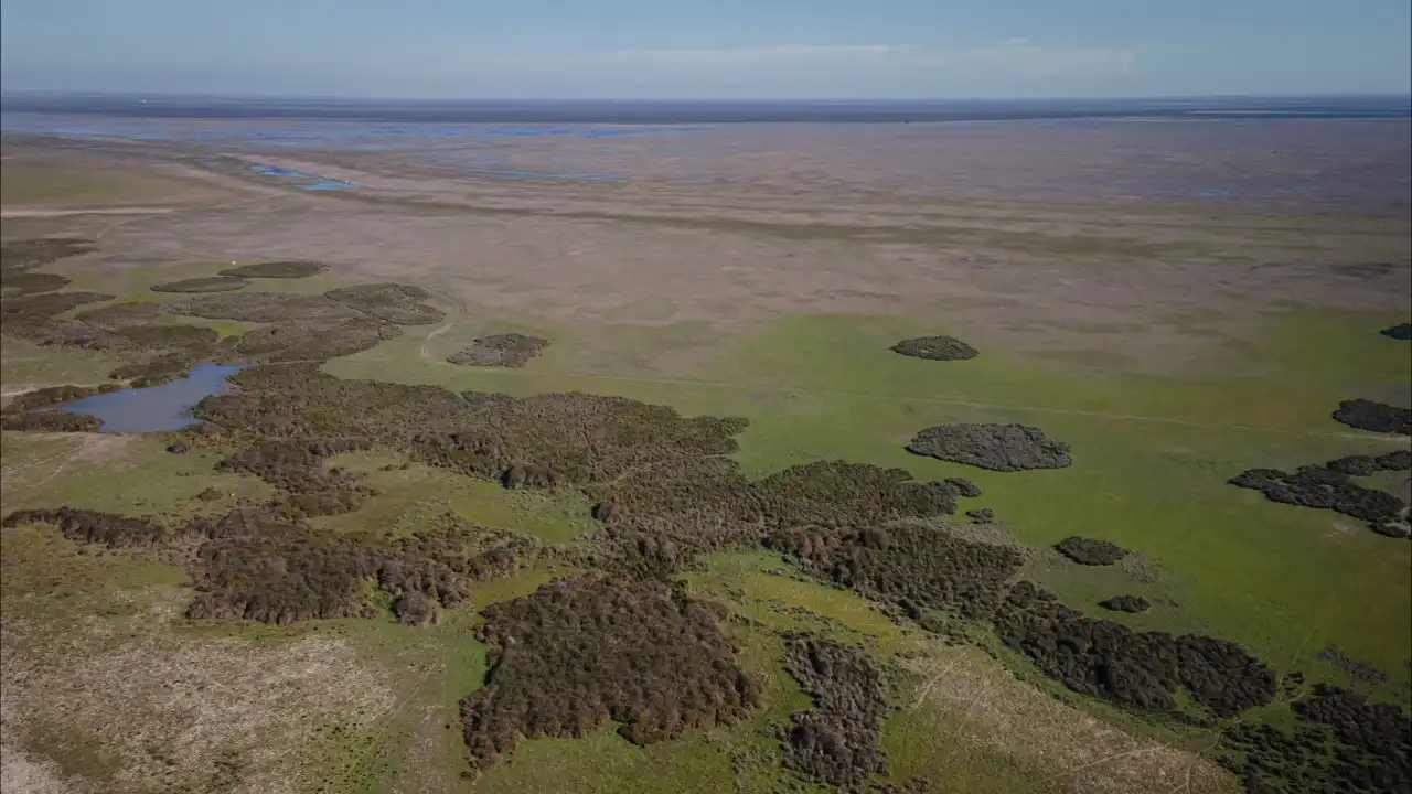 Cientistas consideram que lagoas permanentes de Doñana extinguiram-se