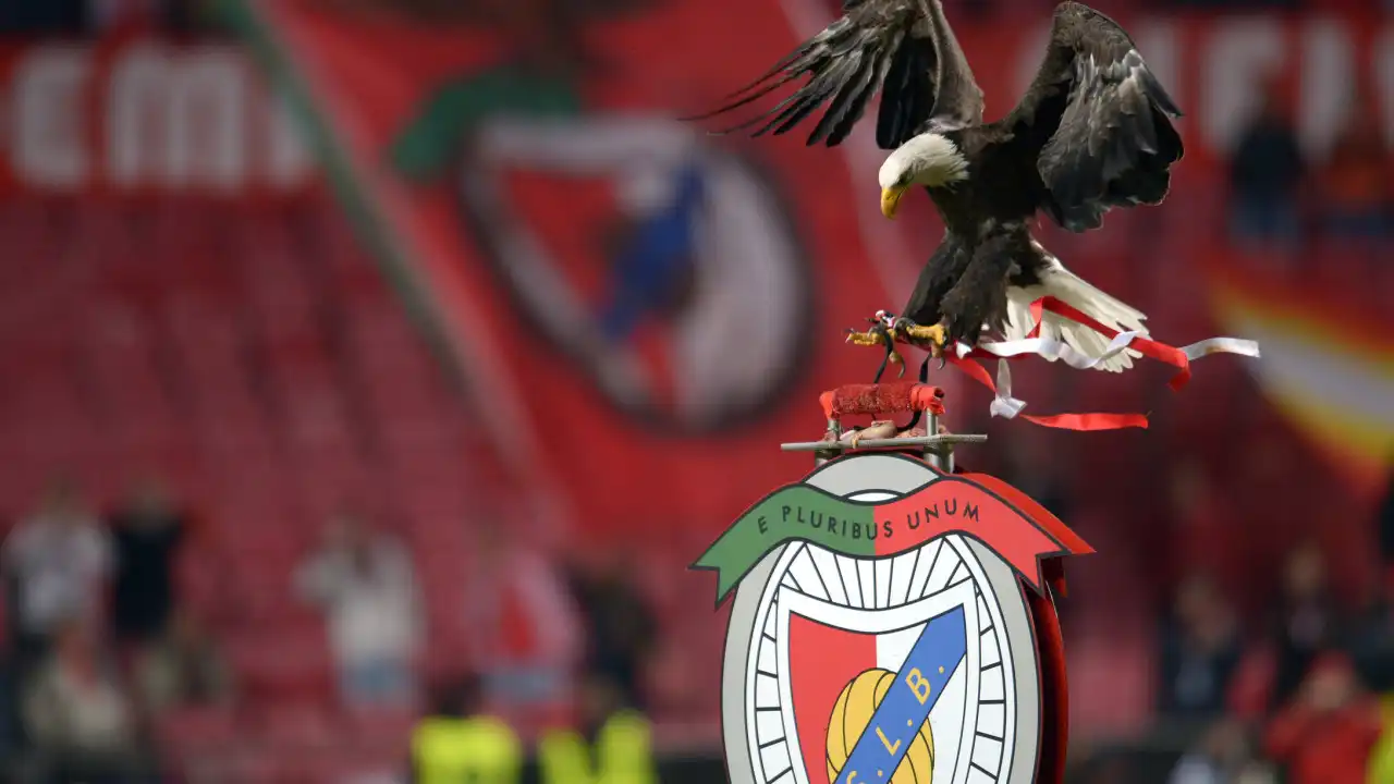 Benfica é notícia no estrangeiro: "MP quer excluí-los das competições"