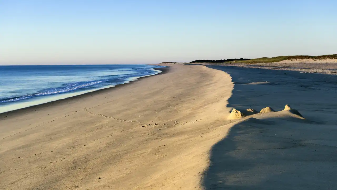 Tubarão branco aparece morto em praia de Massachussetts