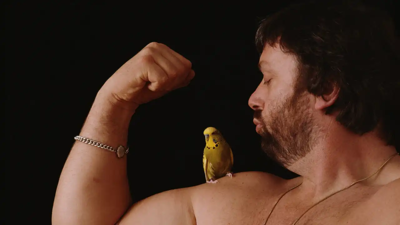 Morreu Geoff Capes, o homem mais forte do mundo e das 12.000 calorias/dia