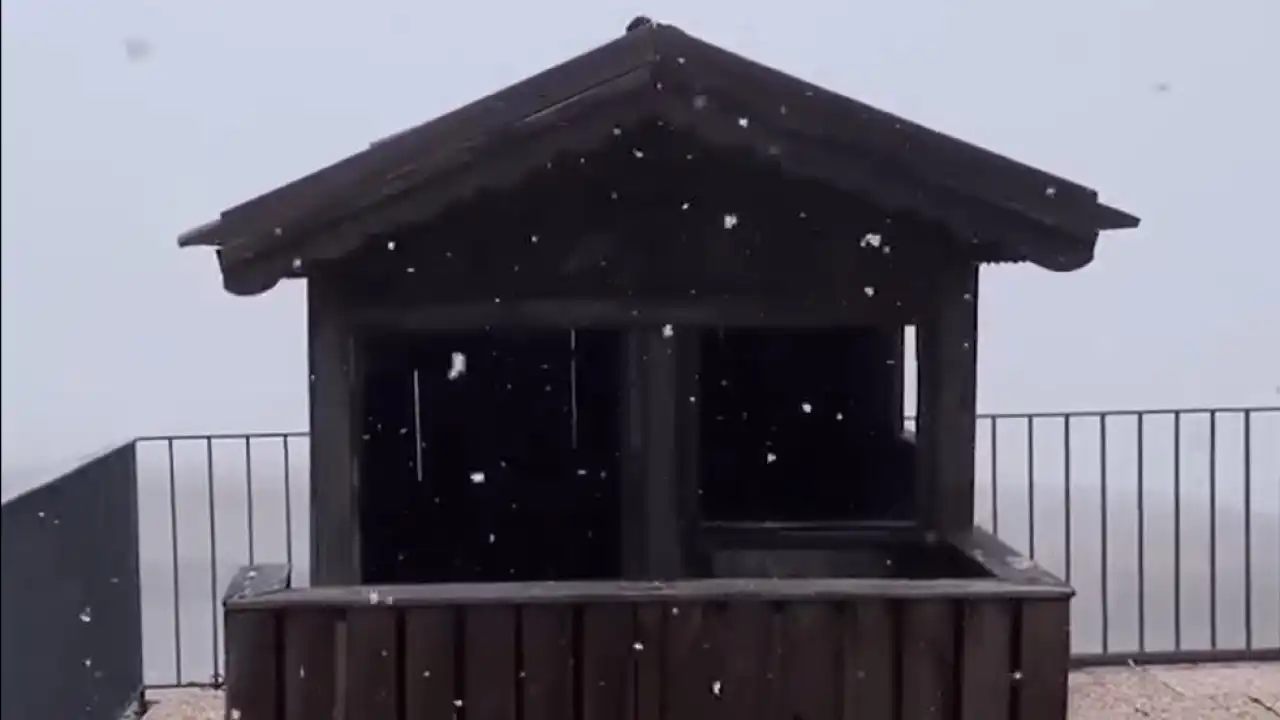 Neve já chegou à Serra da Estrela. Veja o vídeo