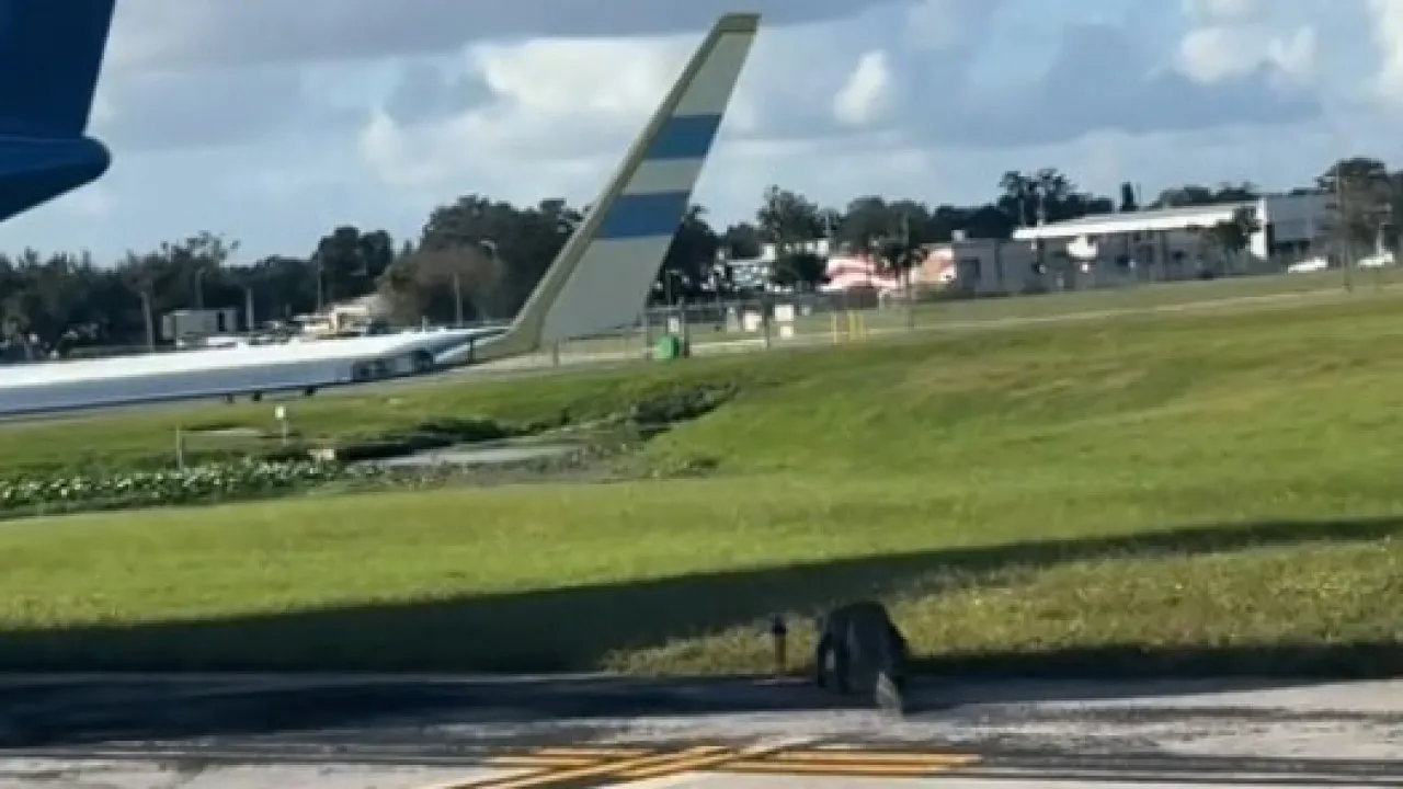 Crocodilo 'invade' pista de aterragem nos EUA... e é afugentado. O vídeo