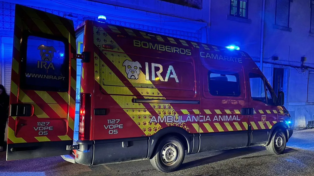 Bombeiros de Camarate enviam equipa para "socorro animal" em Valência