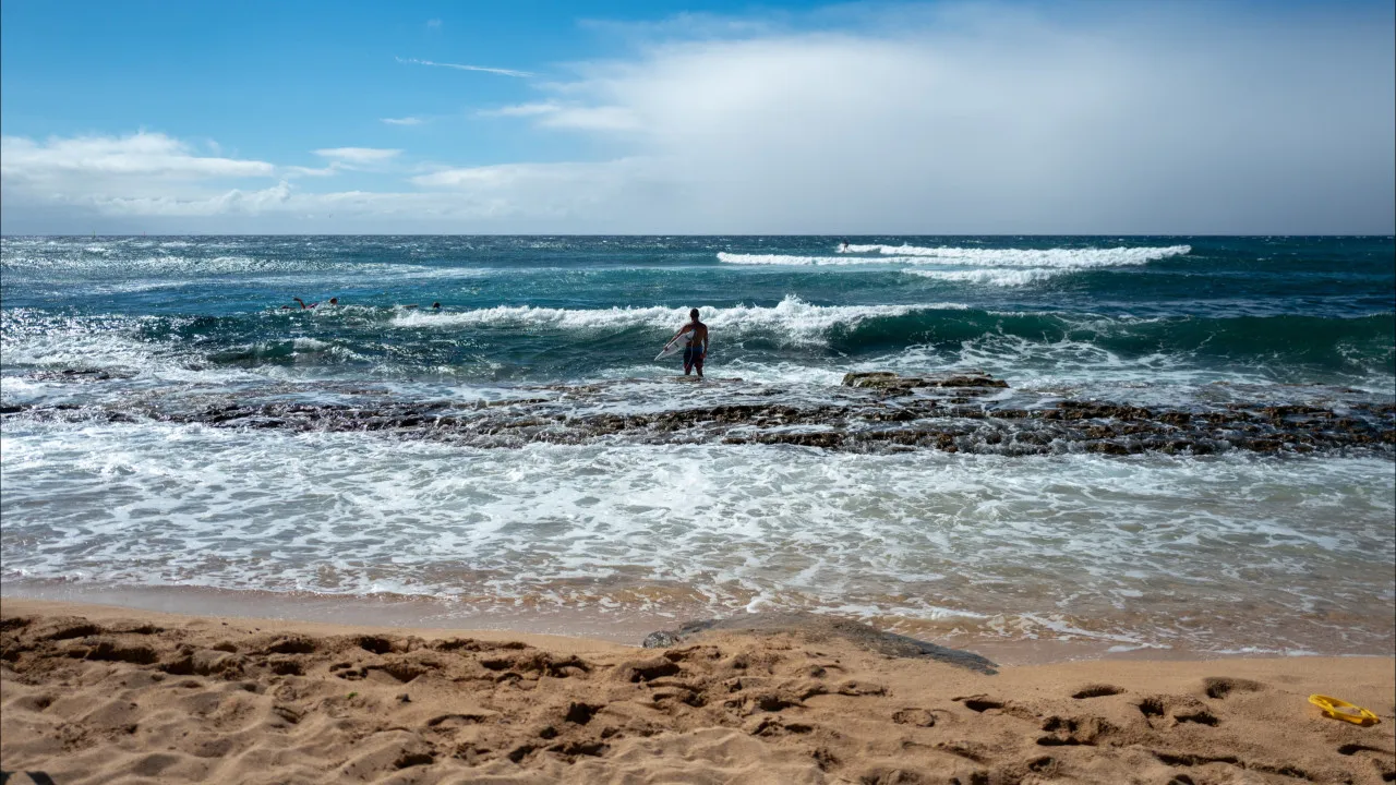 Surfista atacado por tubarão no Havai nada até à costa. "Extraordinário"