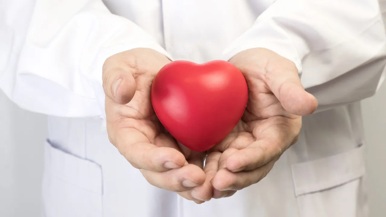 Cardiologistas recomendam sete alimentos para fortalecer o coração