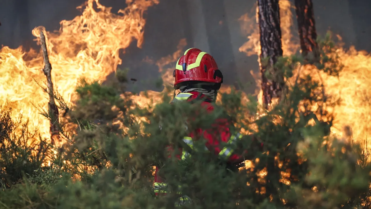 Bombeiro da Covilhã morre em acidente a caminho de incêndio. Há 4 feridos - Notícias ao Minuto