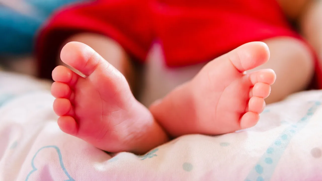 Corpo de recém-nascido encontrado em empresa de gestão de resíduos