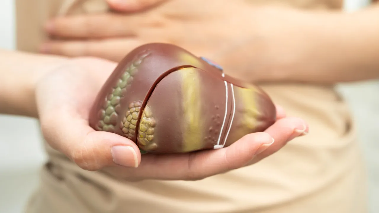 Gordura no fígado? Especialista revela os alimentos que ajudam a limpar