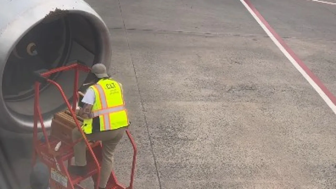 Enxame de abelhas na turbina atrasa voo da American Airlines. Há vídeos
