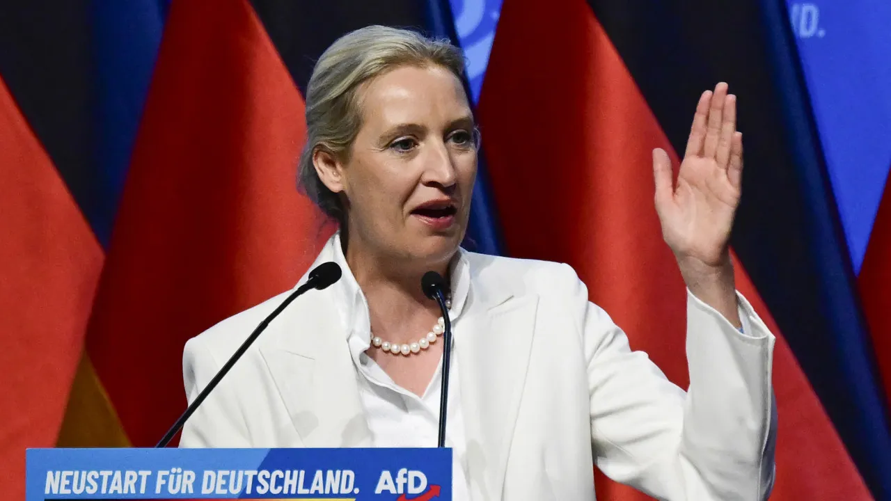 Líder da AfD exige legislativas a Merz para o substituir "antes do Natal"