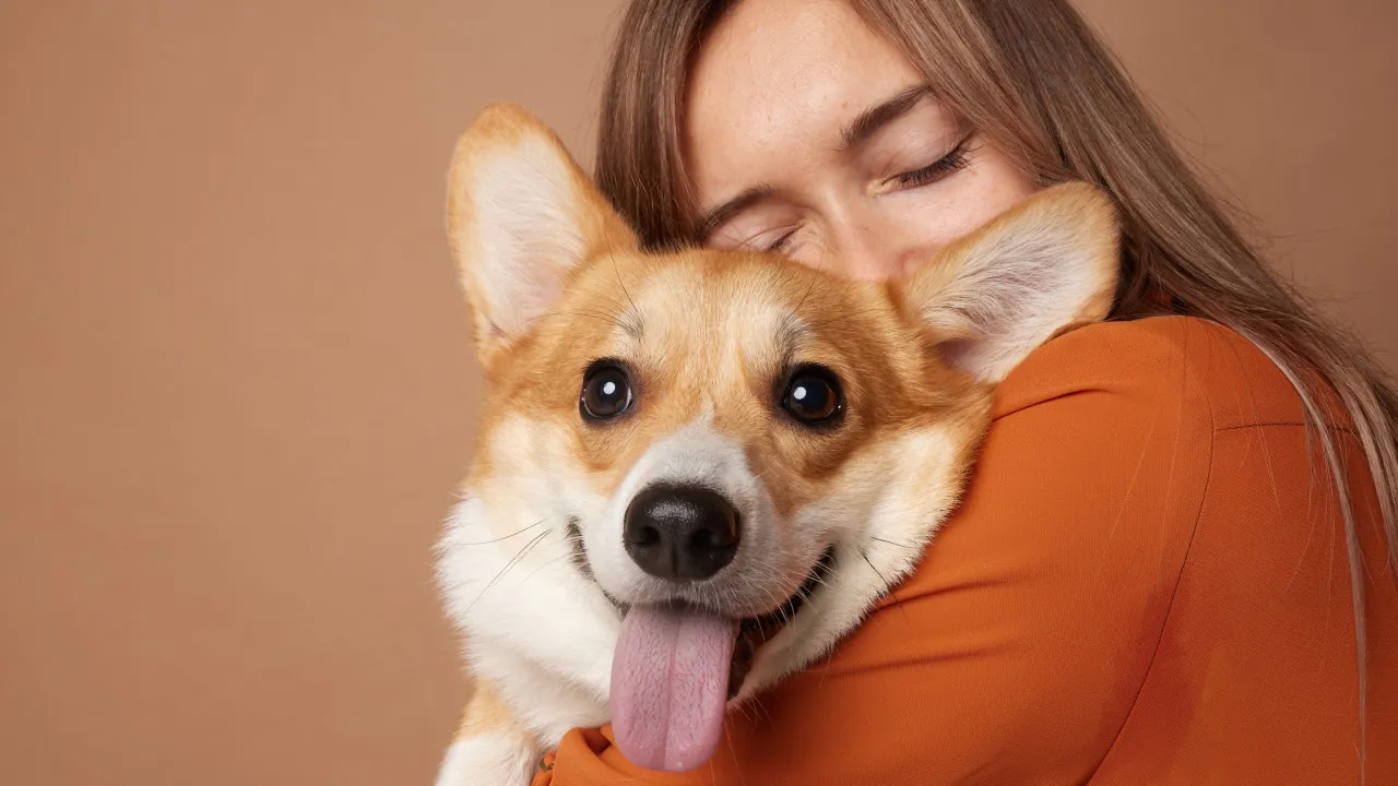 3 palavras que aproximam os cães (emocionalmente) dos donos