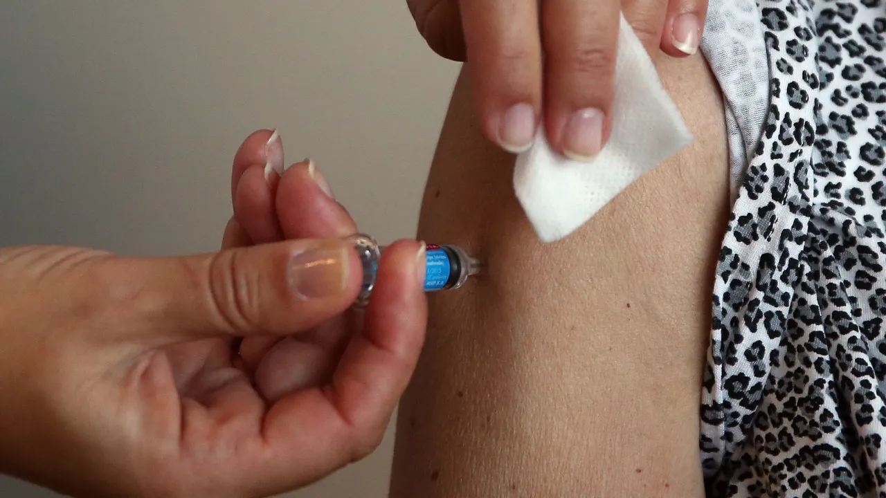 Bastonário dos farmacêuticos apela à vacinação antes do pico da gripe
