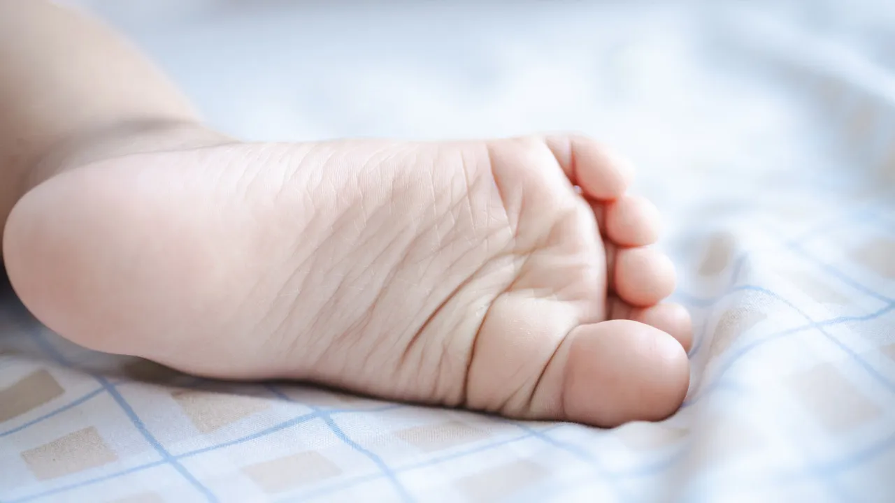 Há acordo para aumentar licença parental: O que está em cima da mesa?