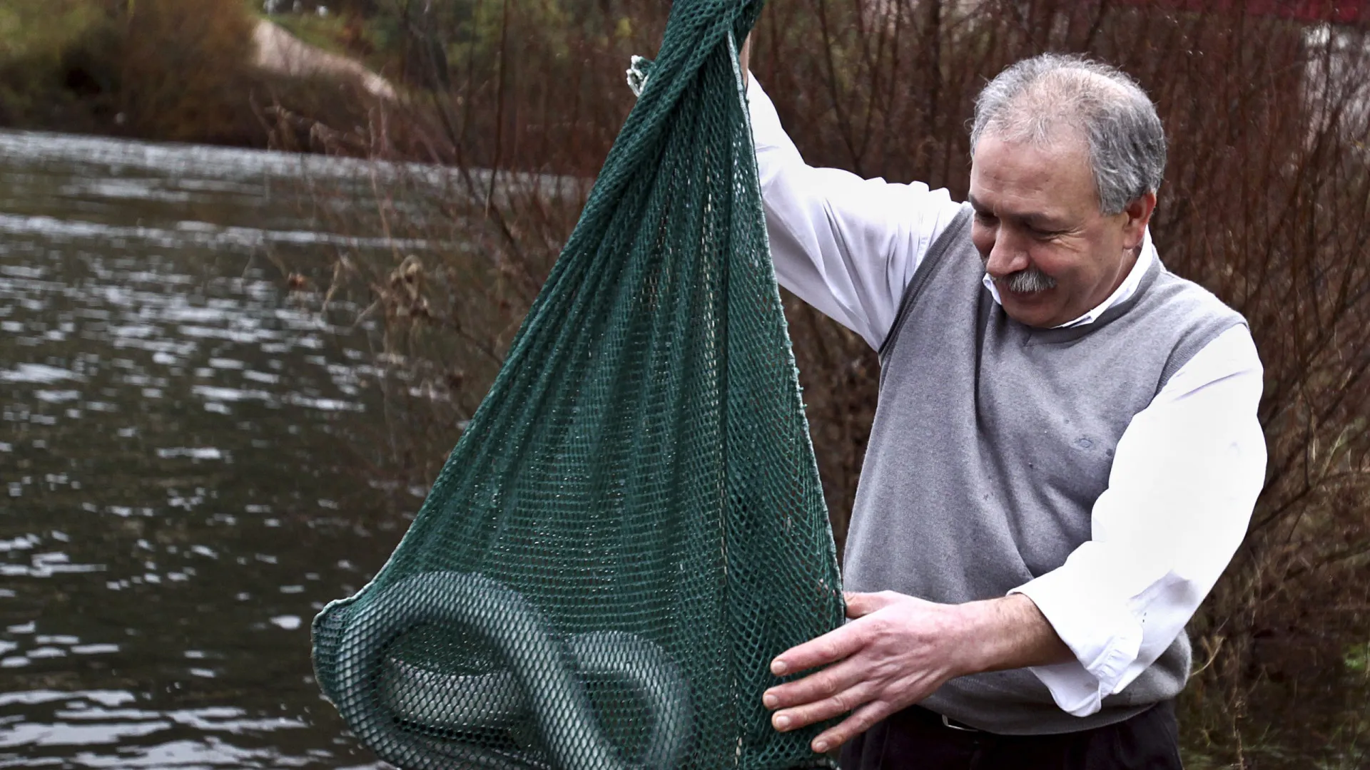 
                    Lampreia gosta da chuva mas as intempéries estragam a vida aos pescadores
                