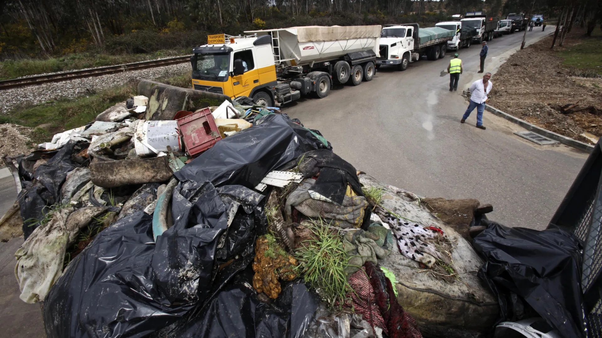 
                    Valorlis recebe mais 50% de resíduos após mau tempo
                