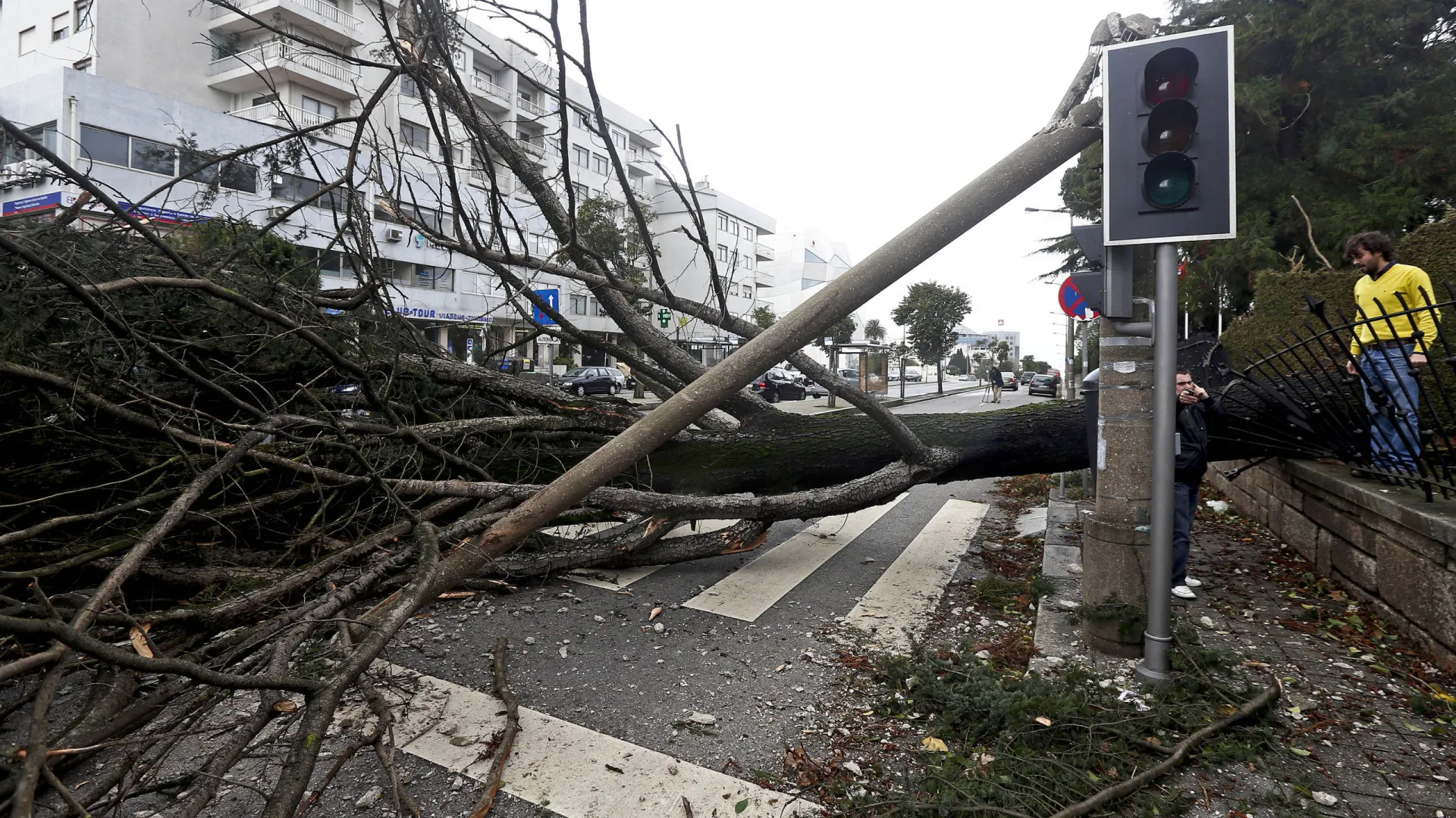 
                    Proteção civil com mais de 200 ocorrências até às 05h00
                