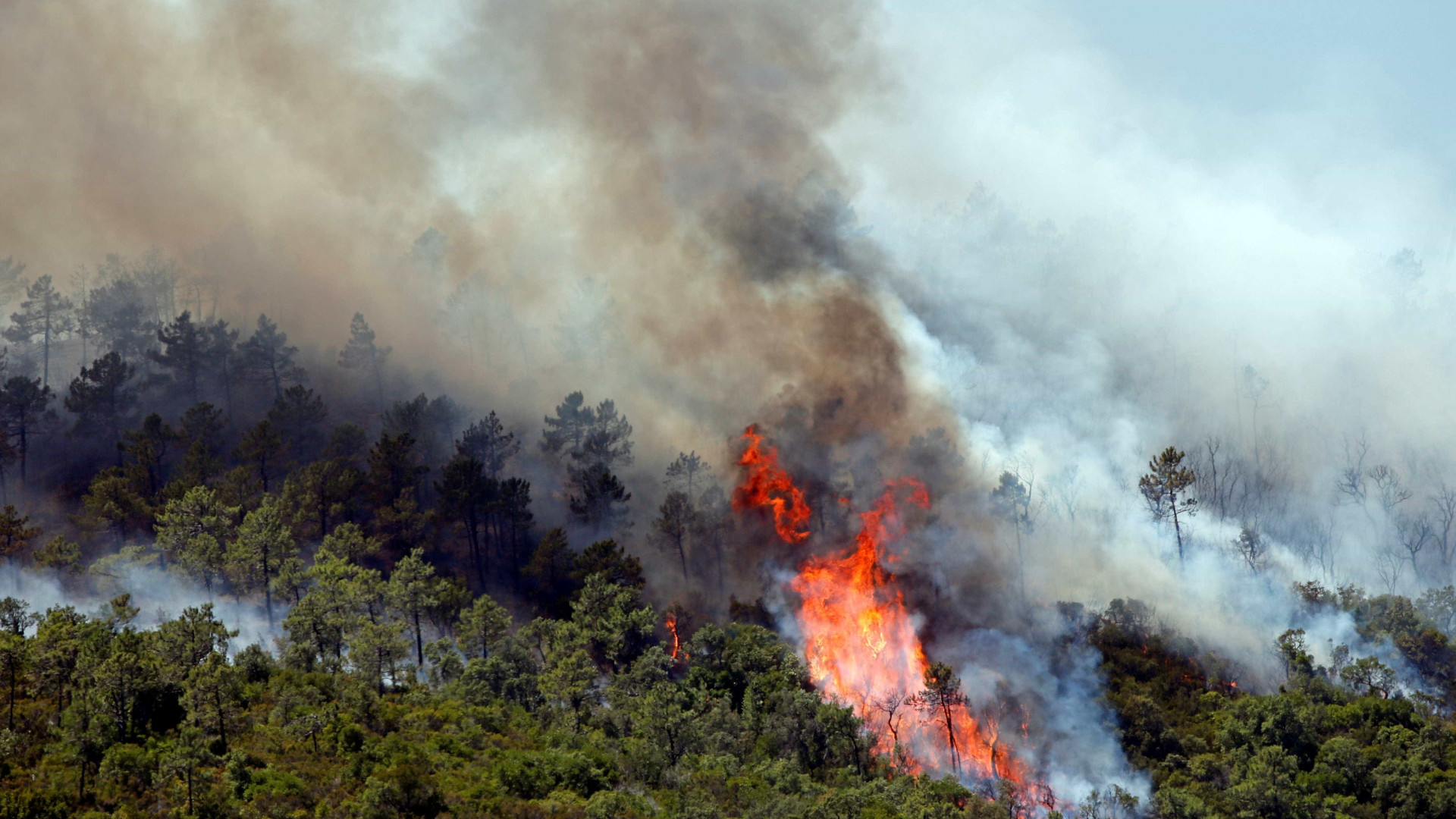 Avião de combate a incêndios cai em Ferreira do Zêzere. Piloto está bem