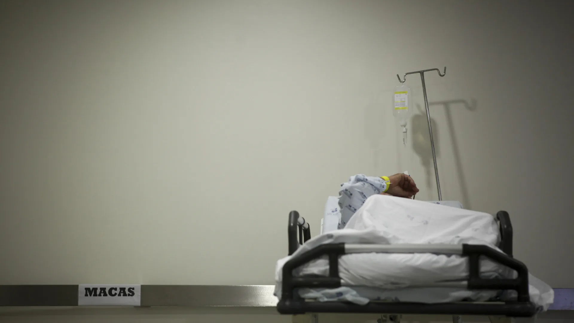 
                    Fungo resistente a medicamentos com propagação rápida nos hospitais europeus
                