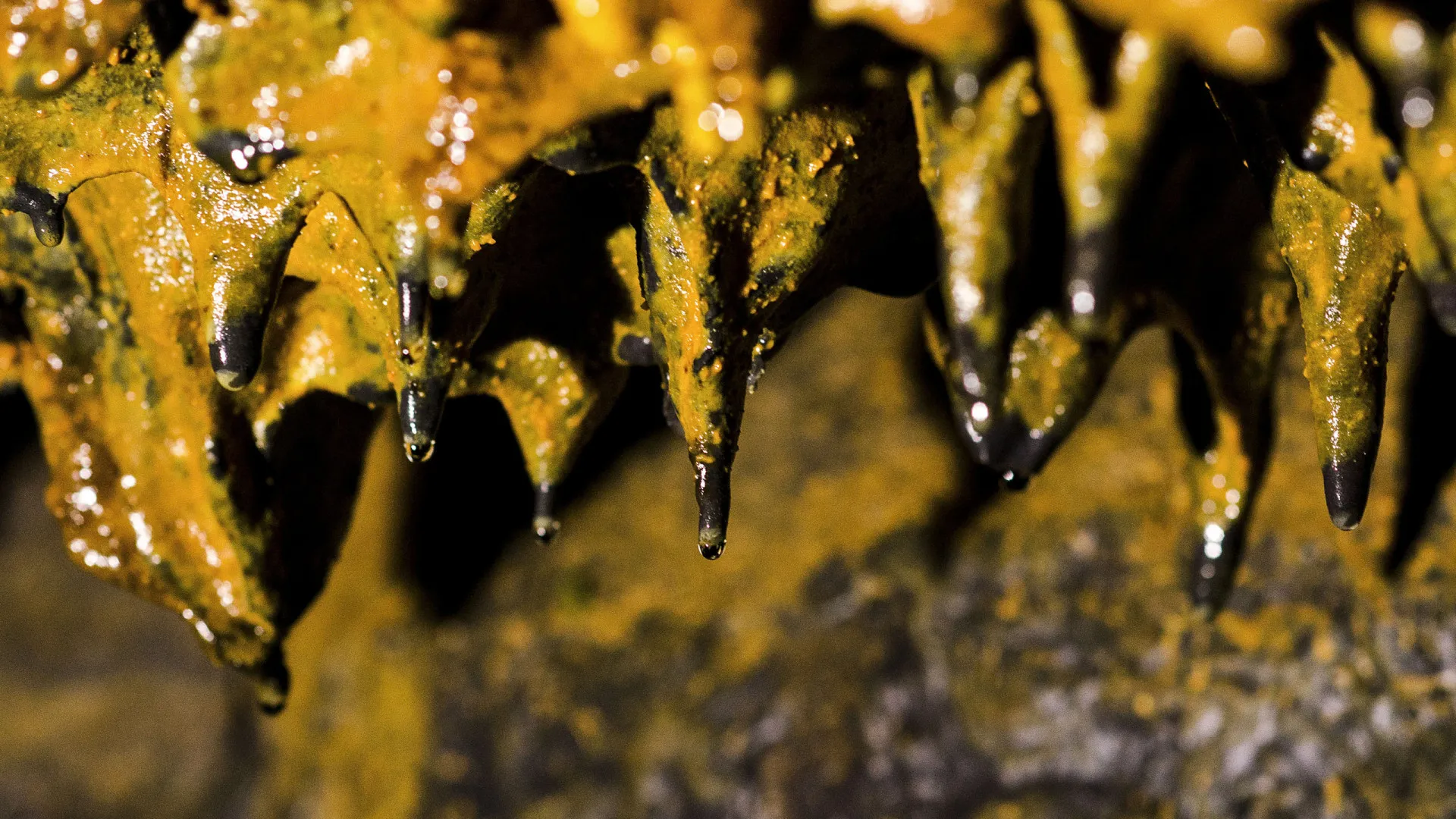 
                    Gruta do Carvão em Ponta Delgada recebe 28 mil visitantes por ano
                