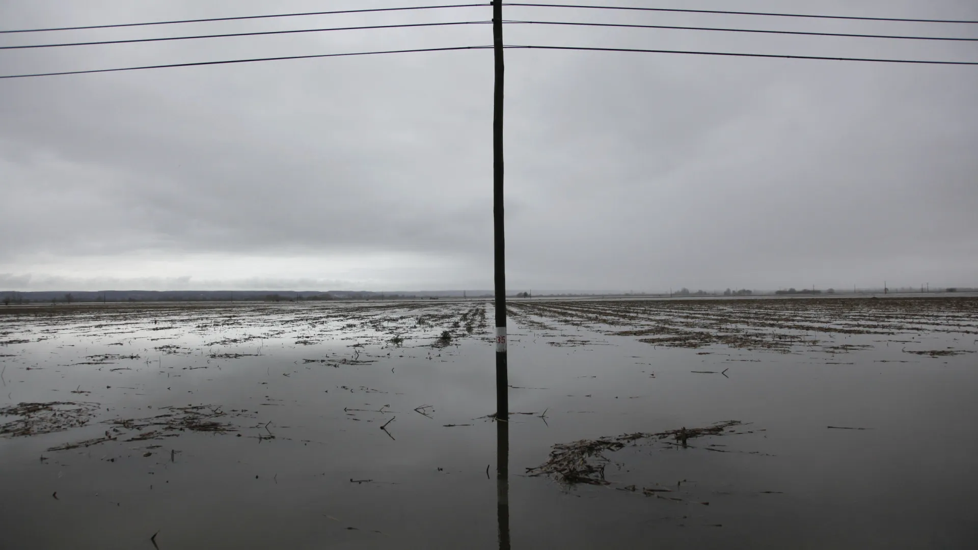 
                    Cheias no Tejo? Plano de emergência ativado após estradas inundadas
                