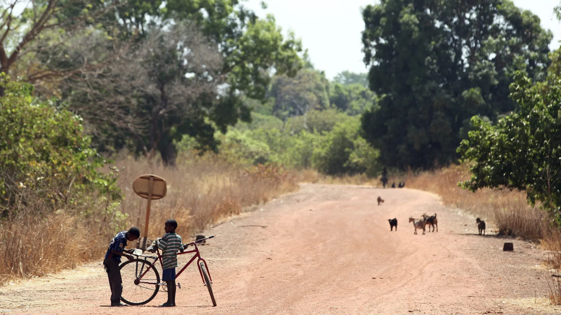 
                    Benguela adapta metodologias de Portugal para reintegração de crianças
                