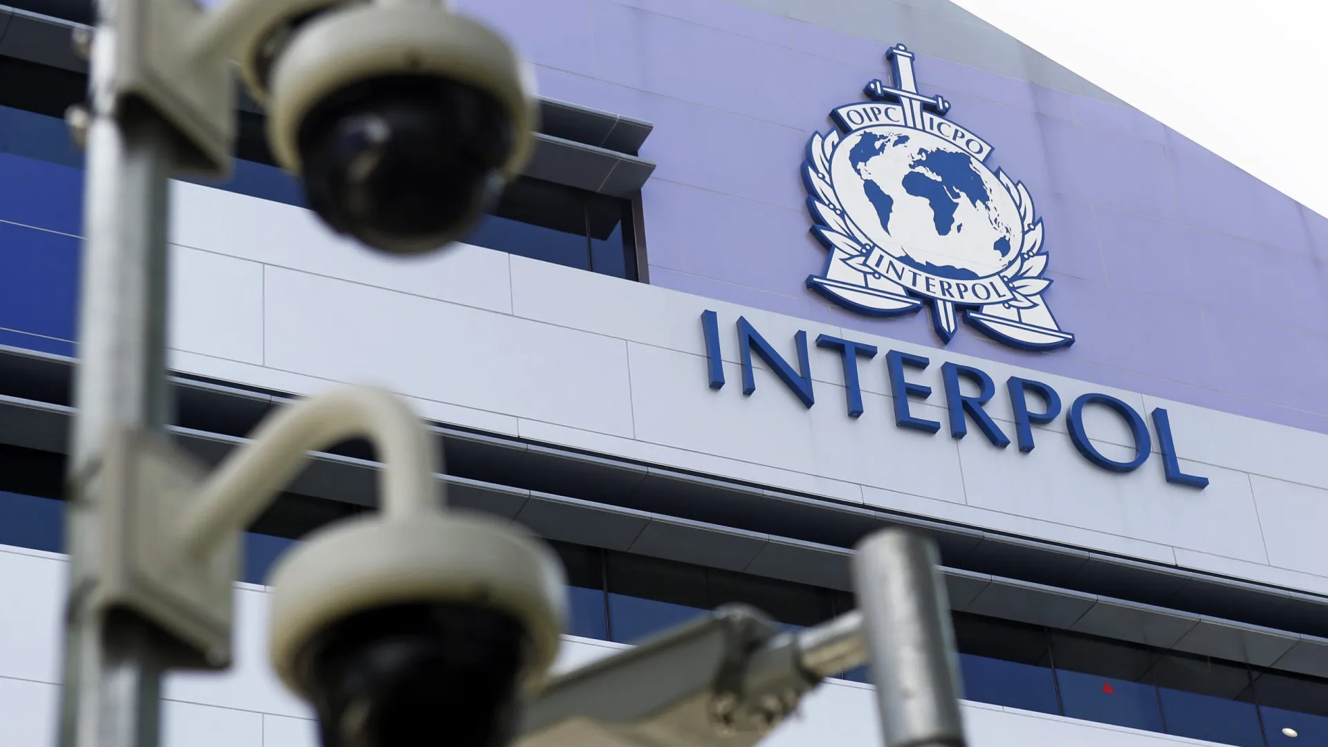 
                    Interpol lança ação global contra criminosos que causam desflorestação
                