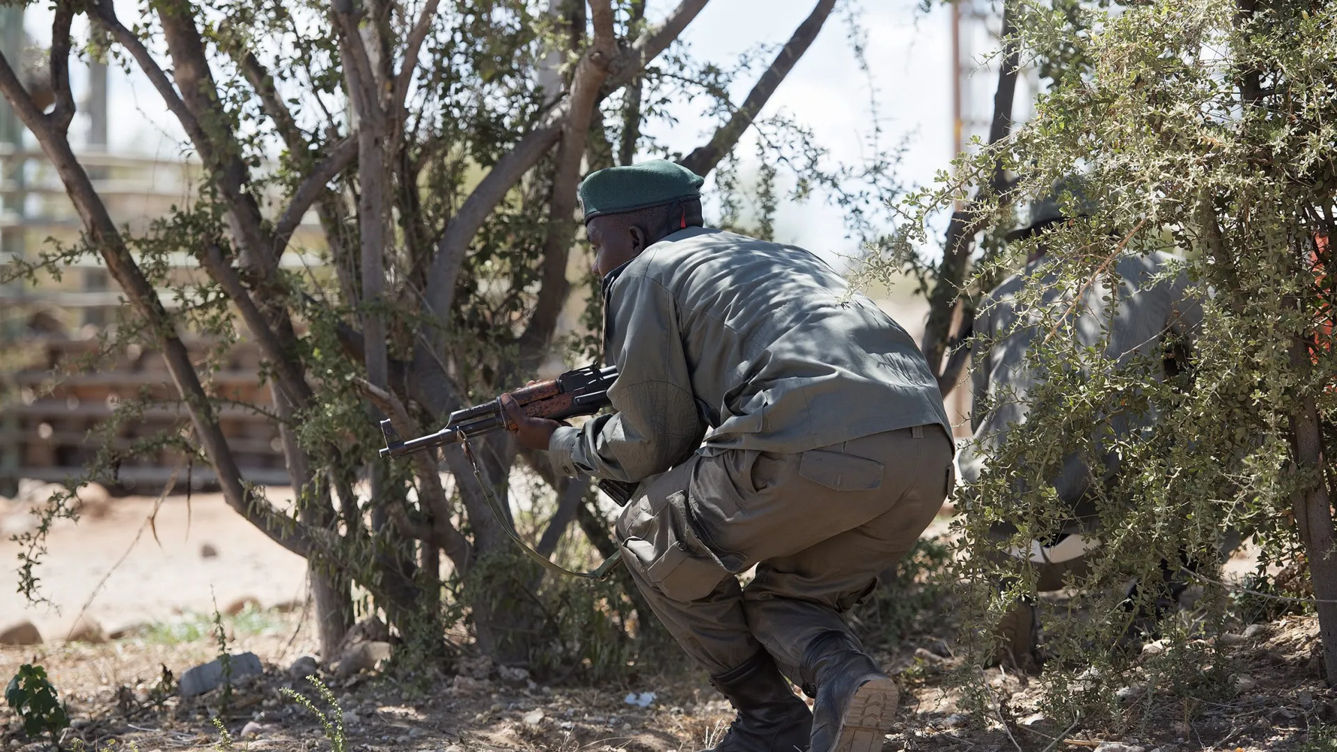 
                    Maputo. Caçadores furtivos bloqueiam estrada e agridem fiscal após morte
                