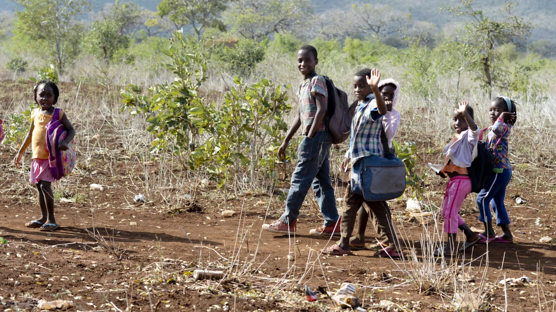 
                    Mais de 10 mil turmas estudam ao ar livre em Moçambique
                
