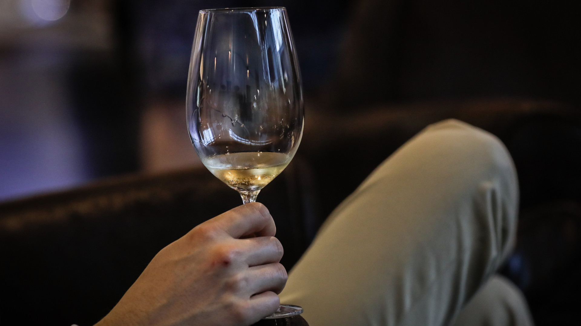 Ministro sublinha superavit de 800 milhões do setor do vinho em Portugal