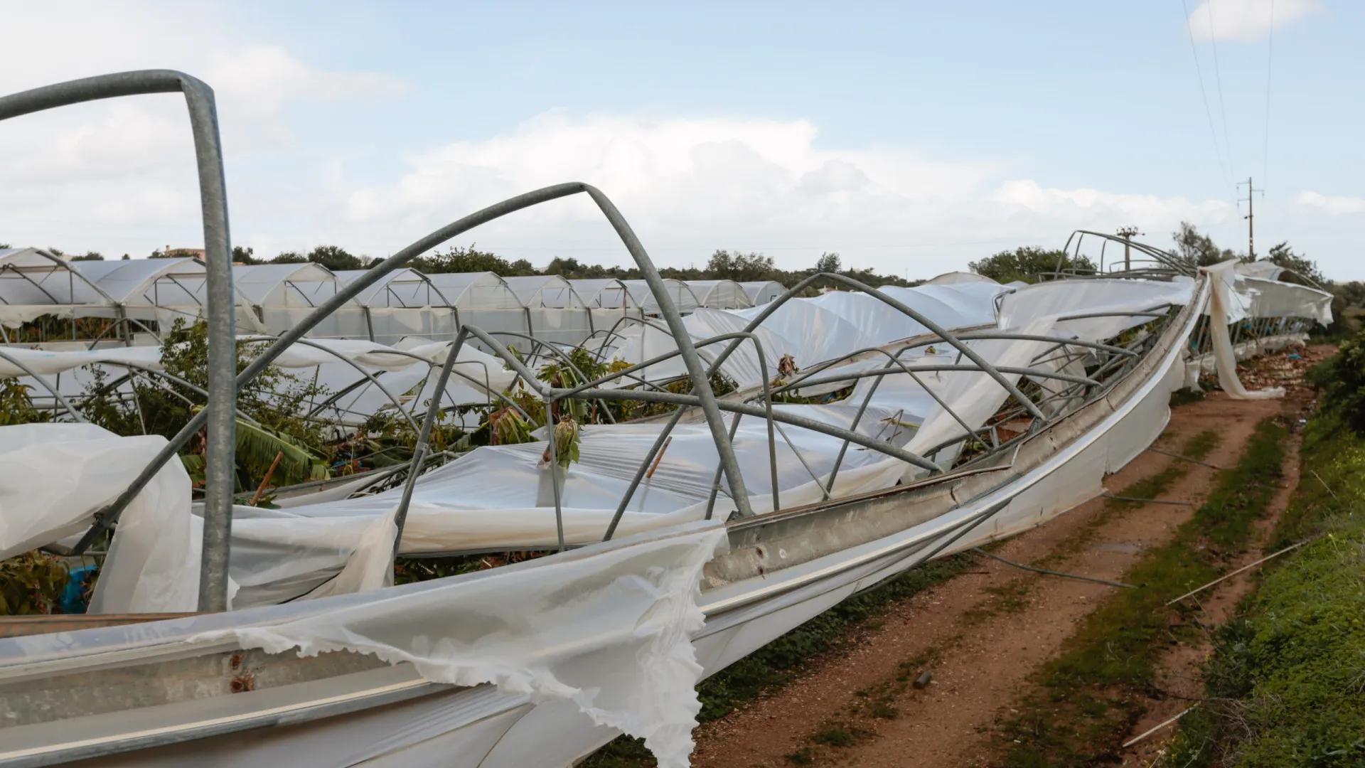 Prejuízos no setor agrícola rondam 500 milhões e ajudas não chegaram