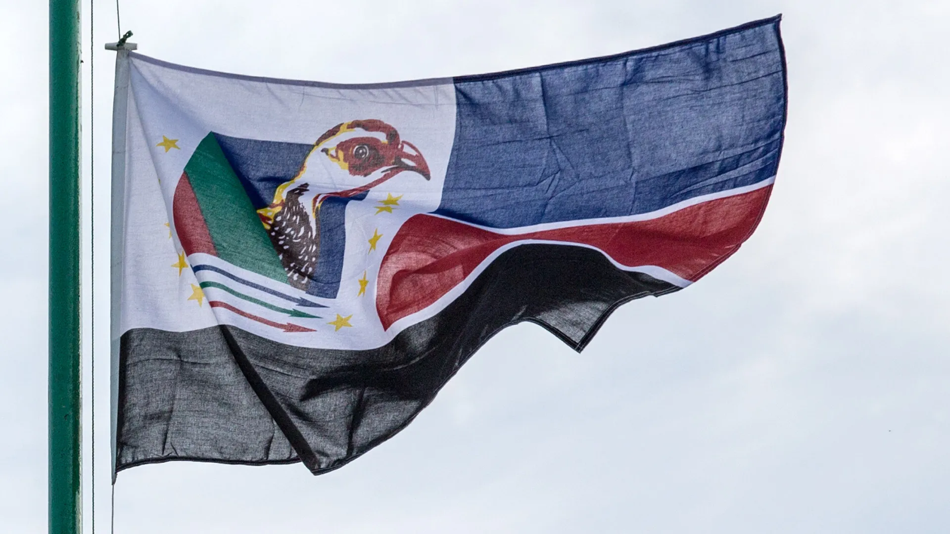 
                    Juventude da moçambicana Renamo pede eleição de novo líder do partido em 2026
                