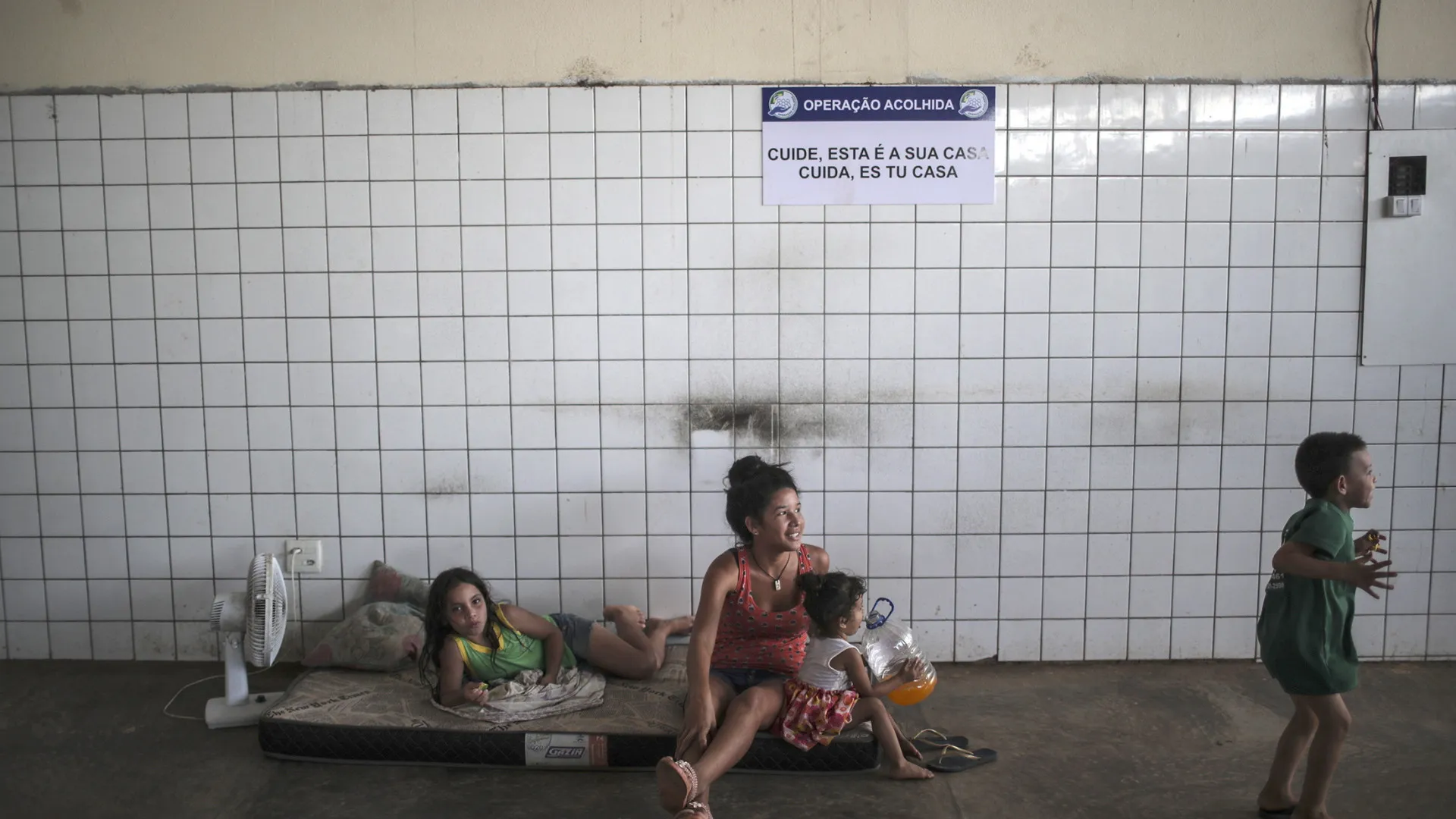 
                    Fluxo migratório entre Brasil e Venezuela desceu para metade em 2026
                