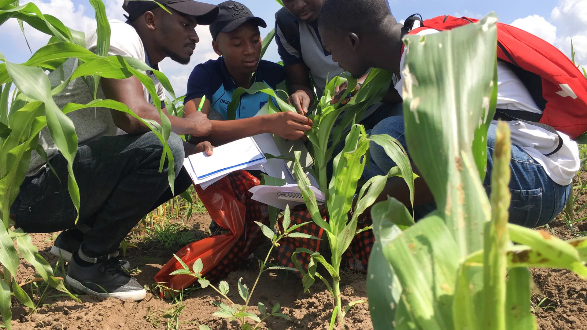 Canadá quer apoiar Moçambique na agricultura, turismo e mineração