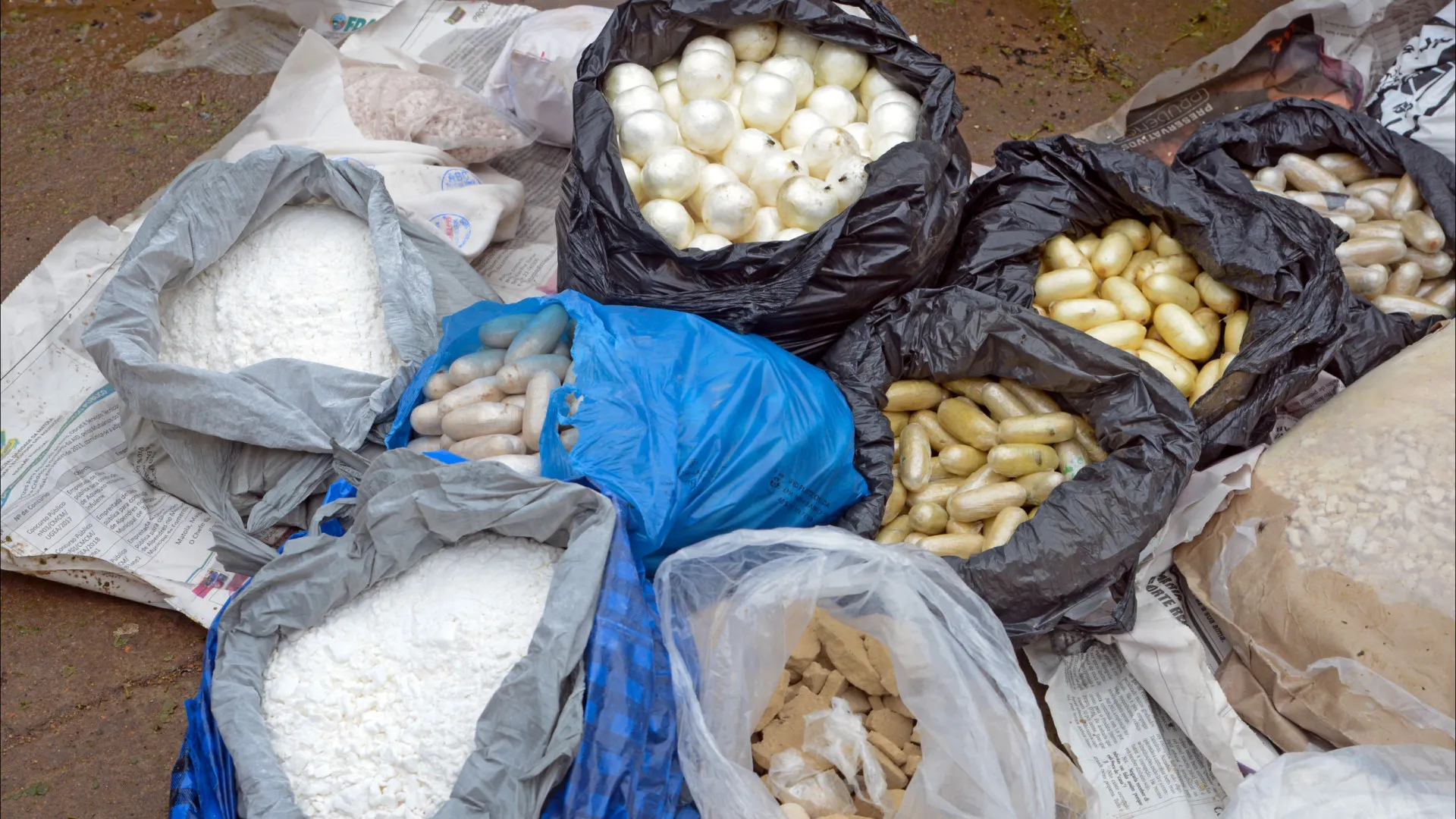 
                    Autoridades moçambicanas incineram mais de 180 kg de drogas no norte
                