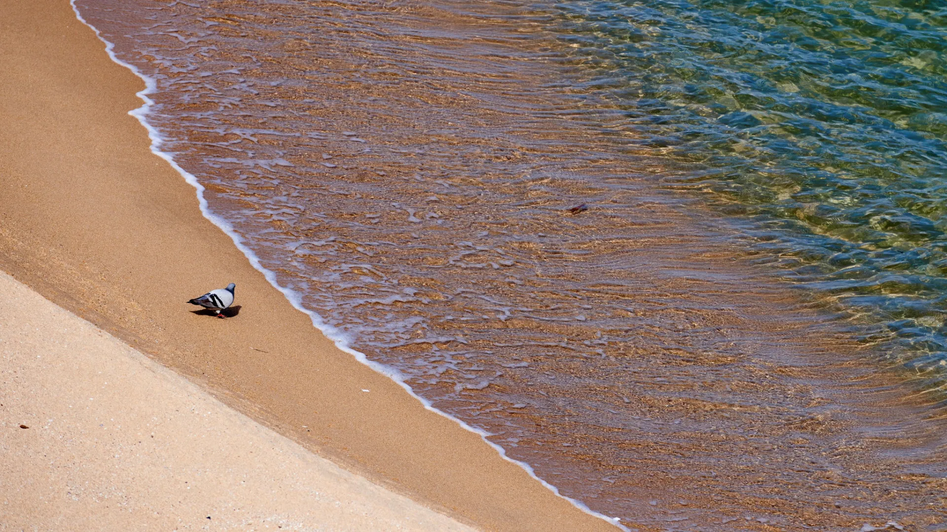 
                    Estudo mostra potencial de Cabo Verde para gerar hidrogénio e biogás
                