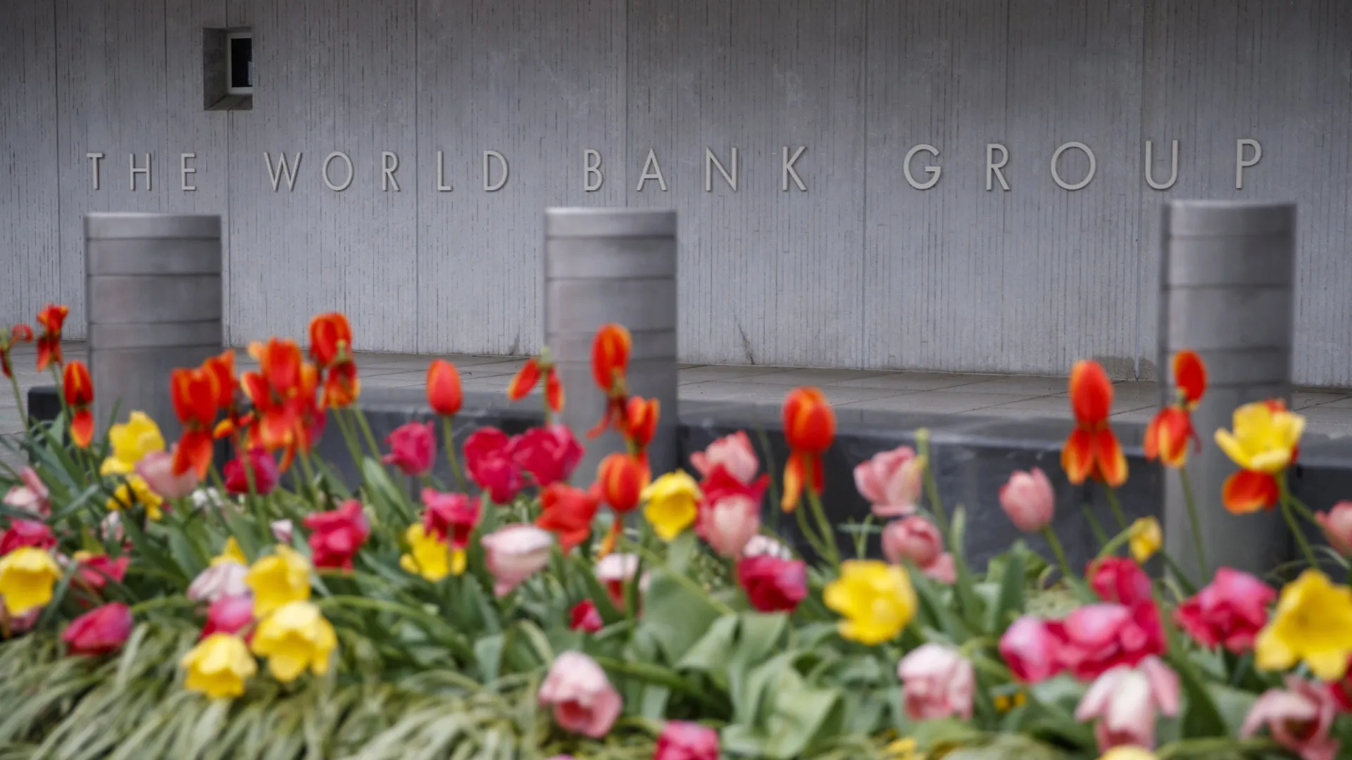 
                    Banco Mundial suspende operações e desembolsos na Guiné-Bissau
                