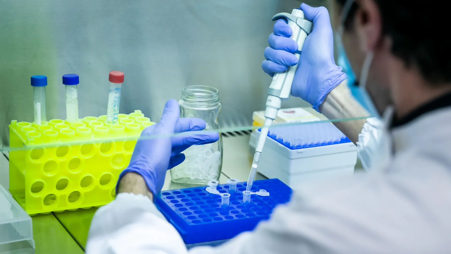 
                    OMS Europa renova acreditação do INSA para sarampo e rubéola
                