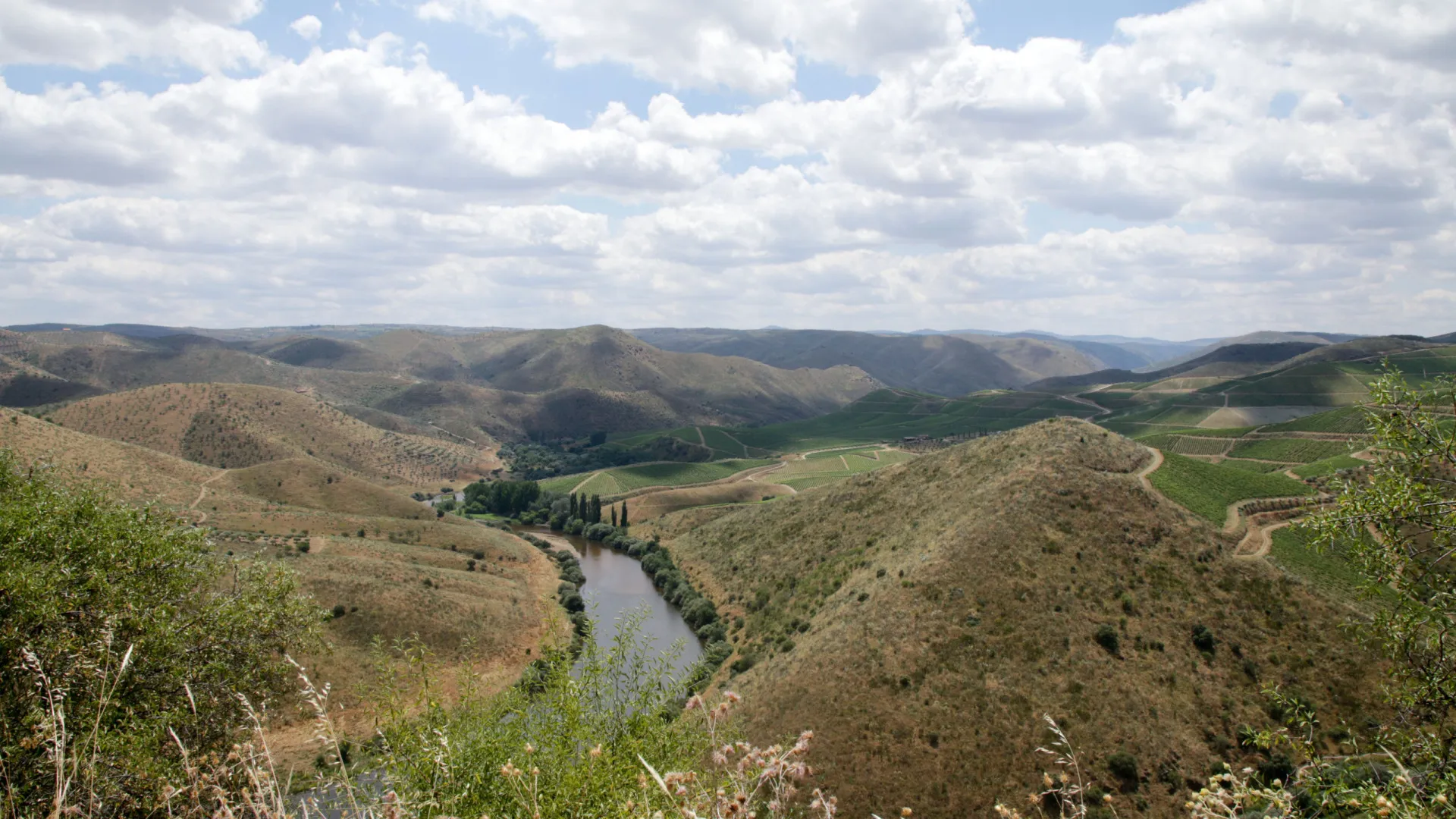 
                    Há vestígios de presença humana de há mais de 26 mil anos no Vale do Côa
                