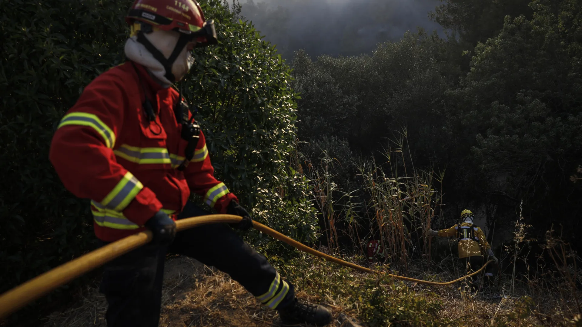 
                    Escola de bombeiros alerta para necessidade de preparação para catástrofe
                